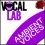 скачать Vocal Lab Ambient Voices - сэмплы атмосферного и воздушного вокала торрент